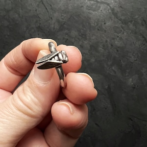 May include: A silver-toned ring featuring a detailed cicada design. The ring's band is simple, while the cicada has textured wings and a detailed body. The ring is held in a hand against a dark background.
