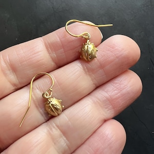 以下が含まれることがあります： 金色のてんとう虫のイヤリングのペア。各イヤリングは、テクスチャ加工された表面と小さな円形のくぼみを持つ、小さく詳細なてんとう虫のチャームが特徴です。イヤリングはシンプルなフックデザインです。