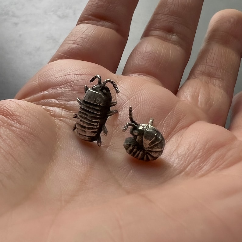 Mismatched Handmade Sterling Silver Isopod Stud Earrings Also Available in Bronze and Brass Perfect Pillbug, Doodlebug, Roly Poly Gift image 7