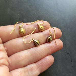 May include: Gold-coloured ladybird earrings with detailed wings and a textured body. The earrings have a hook closure. The ladybird earrings are a unique accessory.