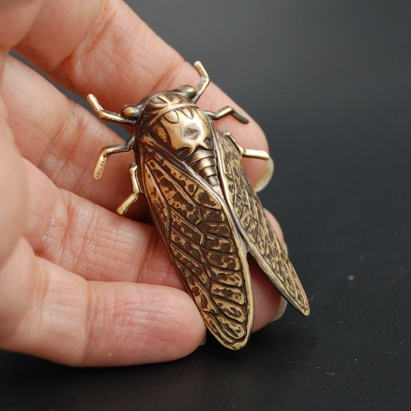Cicada Pin, Insect Pin, Insect Brooch, Bug Pin, Bug Jewelry, Insect Jewelry, Cicada Jewelry, Dog Day Cicada, Cicada Brooch, Cicada Jewelry