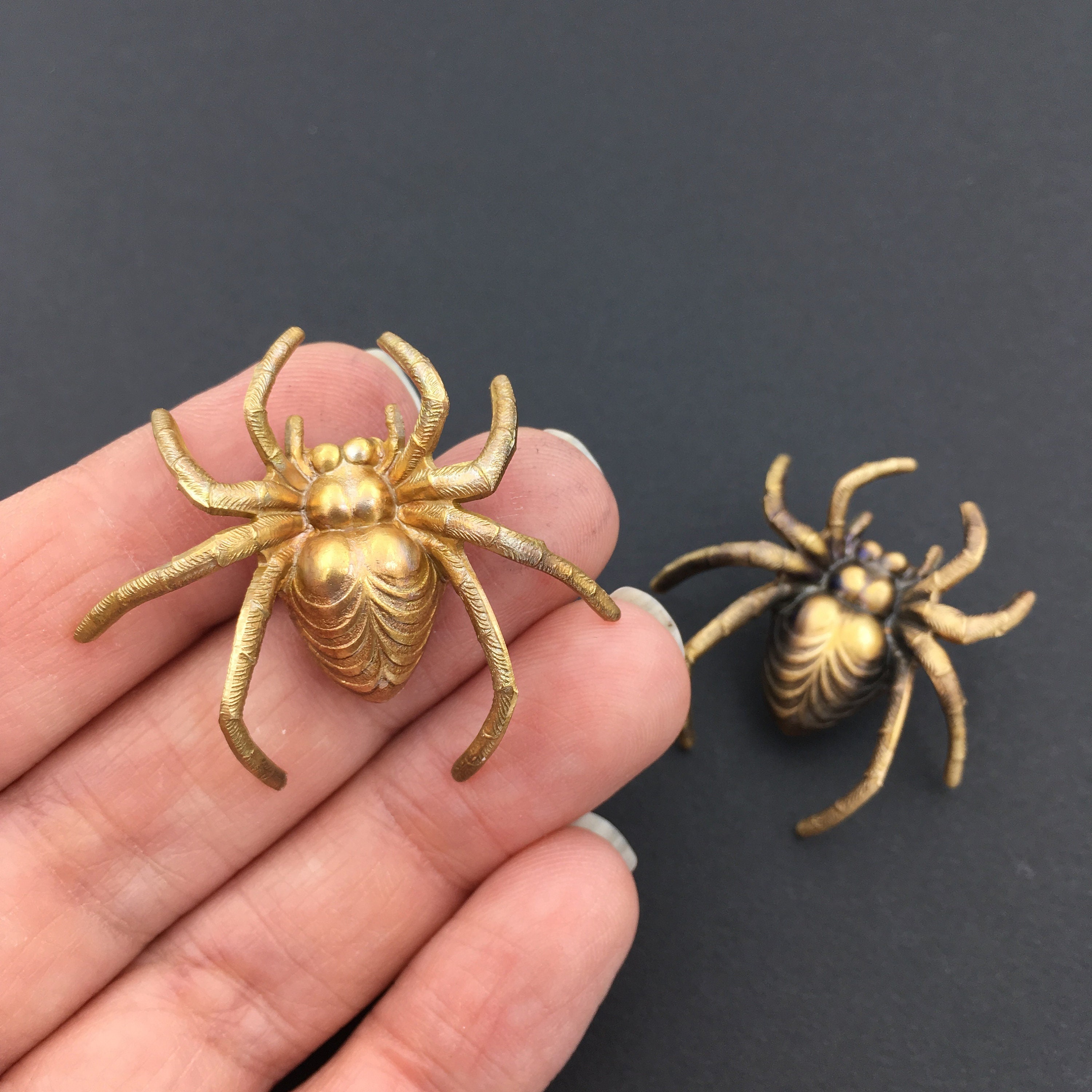 Spider Pin Bug Pin Spider Jewelry Spider Jewellery Spider | Etsy