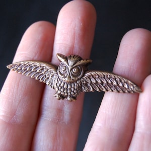 May include: A bronze owl brooch with outstretched wings. The owl has large, round eyes and detailed feathers.
