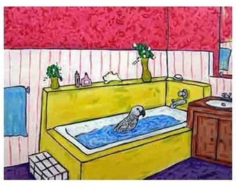 Africa grey Parrot Taking a Bath Bird Art print