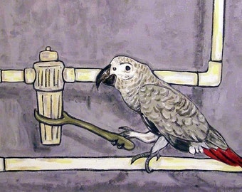African Grey parrot Plumber - bird art - coaster tile - animal home decor