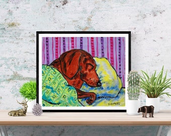dachshund sleeping dog art print - streched canvas or matte paper print - multiple sizes available