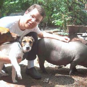 Puede incluir: Un hombre acaricia a un perro peque&ntilde;o blanco y marr&oacute;n. Un cerdo negro m&aacute;s grande est&aacute; acostado en el suelo detr&aacute;s del perro. El hombre lleva una camisa blanca y pantalones vaqueros.