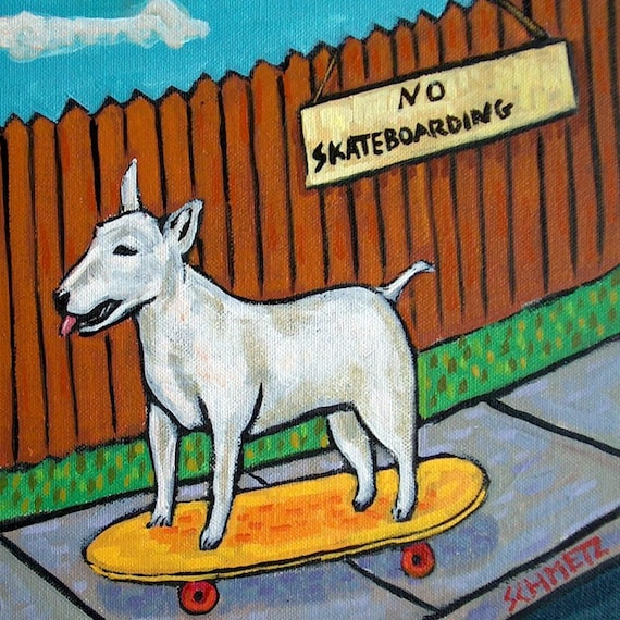 shaffer bull terrier
