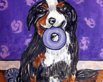 Bernese Mountain Dog With a Dog Toy Art Print - stretched canvas or paper print - multiple sizes