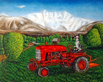Devon Rex cat, farmer cat, cat art, print cat, wall art canvas, canvas print, print decor, animal cat, tractor cat, farming, cat art print,