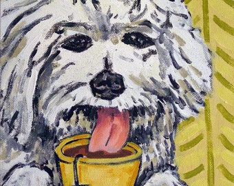 Bichon Frise Having Tea Dog Art Print