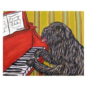 Bouvier Des Flandres Playing the Piano Art Print - stretched canvas or paper print - multipel sizes