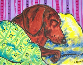 dachshund sleeping dog canvas art print with either .75 edge or 1.5 inch edge