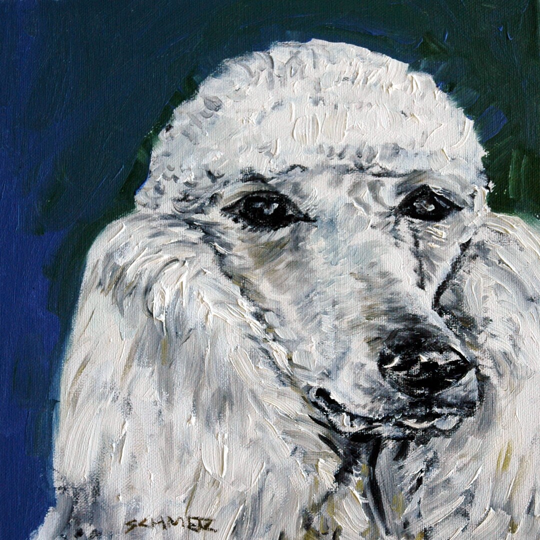 White Standard Poodle Portrait Dog Art Tile Coaster Gift Etsy