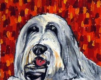 Bearded Collie at the Wine Bar picture Dog Art Print  giclee gift