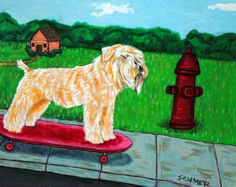 Soft Coated wheaten Terrier Skateboarding - dog art print - animal decor - gift