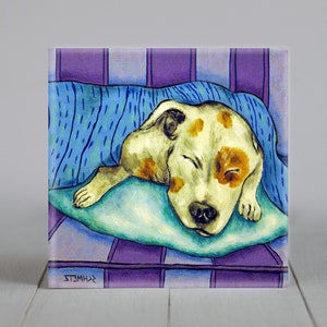 May include: A white and brown dog with brown spots sleeps on a blue and green pillow under a blue blanket. The dog is on a purple and white striped surface.