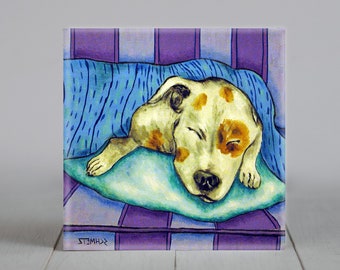 Pit Bull Terrier sleeping- dog art - Coaster - Dog Artwork - Multiple Sizes - Free Shipping