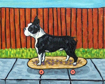 Boston terrier skateboarding dog art canvas print -ready to hang by Georgian artist schmetzpetz