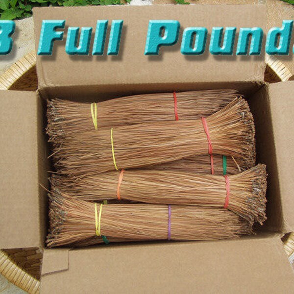 Pine Needles for Basketry or Gourd Crafting - 3 LBS Bargain Boxful