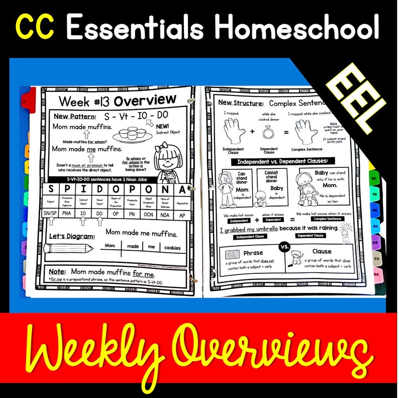 CC Essentials Program EEL Worksheets - Grammar Printables - Curriculum Guide - Worksheets Lesson Plans - Homeschool - Homeschooling - Tutor image 1