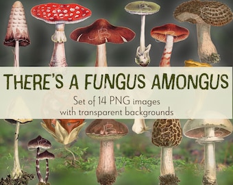 There's A Fungus Amongus - PNG Digital Kit - 14 Images with Transparent Backgrounds & 3 BLANK templates for building Journal Pages