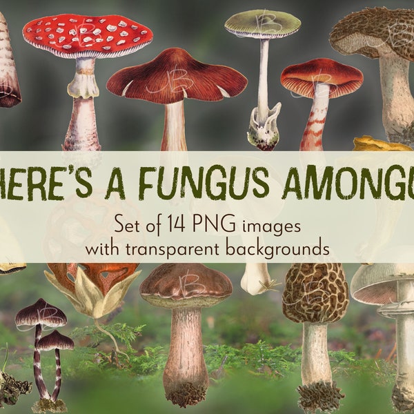 There's A Fungus Amongus - PNG Digital Kit - 14 Images with Transparent Backgrounds & 3 BLANK templates for building Journal Pages