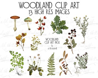 Woodland Clip Art - Antique Ephemera - Bookmakers - Book Covers - Art Journaling (1 digital page)