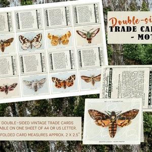 Vintage Trade Cards - Moths - Set of 8 DOUBLE-SIDED cards - Graphic Art - Digital Collage - Printable Ephemera