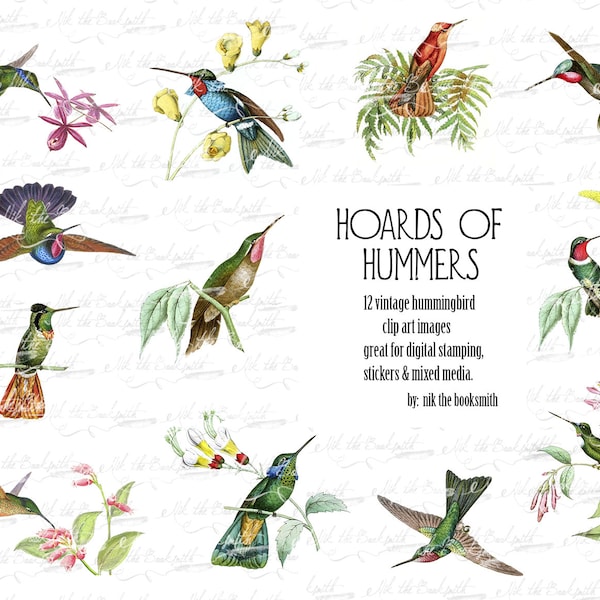 Hoards of Hummers Clip Art - Vintage Avian Ephemera - Planery - Naklejki - Art Journaling (1 strona cyfrowa)