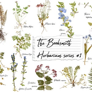 The Booksmith Herbarium Kit - serie no.1 - descarga digital - 12 páginas de muestras de flores secas