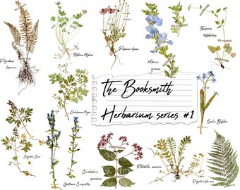 The Booksmith Herbarium Kit  -  series no.1  -  digital download  -  12 dried flower specimen pages