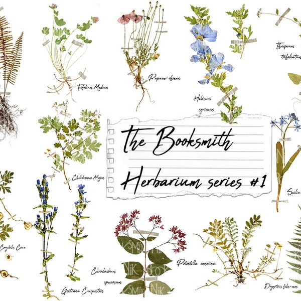 The Booksmith Herbarium Kit  -  series no.1  -  digital download  -  12 dried flower specimen pages