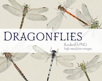 Dragonflies - PNG Digital Kit - 6 Images with Transparent Backgrounds & 3 BLANK templates for building Journal Pages