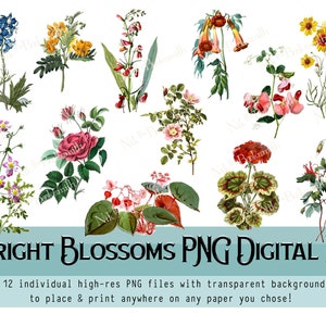 Bright Blossoms - PNG Digital Kit - Bookmakers - Journal Pages - Graphic Art (12 PNG + 3 blank page templates) - transparent background