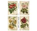 Nana's Rose Garden - Journal Cards - Antique Ephemera - books -  journals - albums - scrapbooks - mixed media  (1 digital page) 