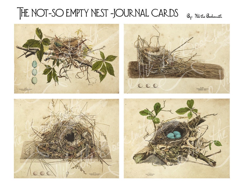 The Not Quite Empty Nest When You Have >> The Not So Empty Nest Journal Cards Antique Ephemera Etsy The Not Quite Empty Nest When You Have >> The Not So Empty Nest Journal Cards Antique Ephemera Etsy