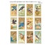 Birds of America Trading Cards #1 - Antique Ephemera - books -  journals - albums - scrapbooks - mixed media  (1 digital page) 