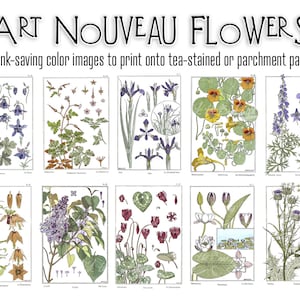 Art Nouveau Flowers - Ink Saving images to print on tea stained or parchment paper - junk journal (10 digital page spreads)