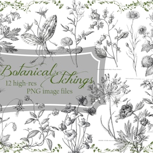 May include: A collection of 12 high-resolution black and white botanical illustrations. The illustrations feature various flowers, plants, and leaves. The text "Botanical Etchings" and "12 high-res PNG image files" is displayed on a gray banner.