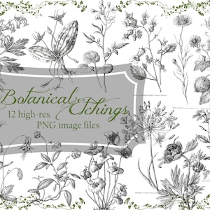 Botanical Etchings in Ebony & Ivory - PNG Digital Kit - Bookmakers - Journal Pages - Graphic Art (12 PNG files + 3 blank page templates)