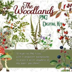 The Woodlands - PNG Digital Kit - Bookmakers - Journal Pages - Graphic Art Design (12 PNG files + 3 blank page templates)