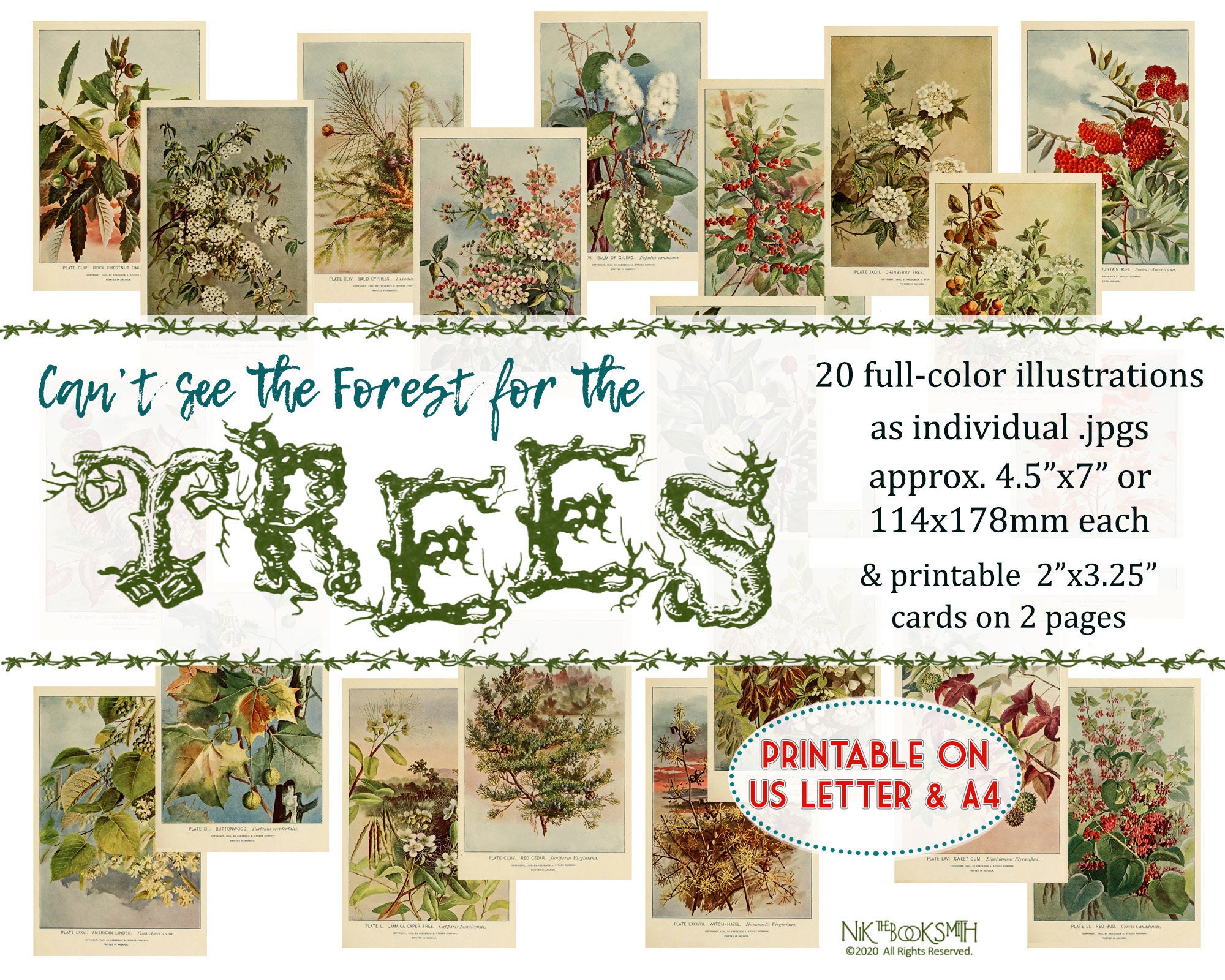 See Niks - Etsy