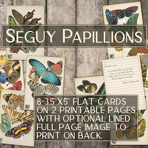 Seguy Papillions - Conjunto de 8 cartões planos imprimíveis com imagem de fundo forrada para imprimir no verso para notas, presentes, diários (4 páginas digitais)
