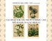 1898 Gartenflora - set of 4 Journal Cards - Antique Ephemera - books -  journals - albums - scrapbooks - mixed media  (1 digital page) 