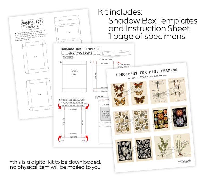 Specimen Shadow Boxes Kit 3 Digital Pgs Butterflies Etsy