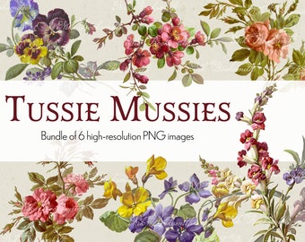 Tussie Mussies - PNG Digital Kit - 6 Images with Transparent Backgrounds & 3 BLANK templates for building Journal Pages