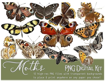 Moths - PNG Digital Kit - Bookmakers - Journal Pages - Graphic Art (12 PNG files + 3 blank page templates) - transparent background