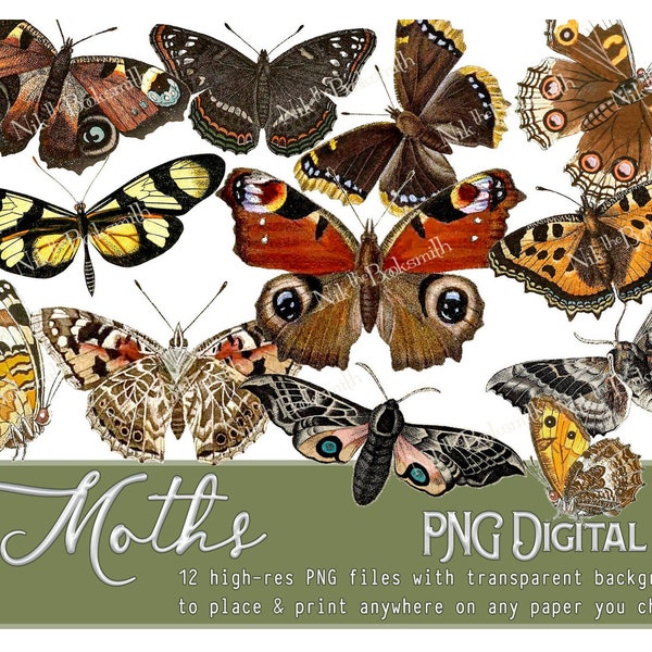 Moths - PNG Digital Kit - Bookmakers - Journal Pages - Graphic Art (12 PNG files + 3 blank page templates) - transparent background