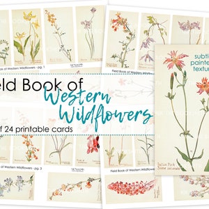 Livro de campo de flores silvestres ocidentais - 24 imagens em 4 páginas efêmeras imprimíveis (carta dos EUA ou A4)